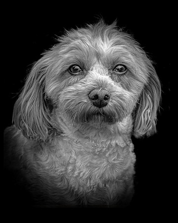 Maggie 21 B&W 5-4