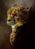 Cheetah Pose 1 -A4/A3