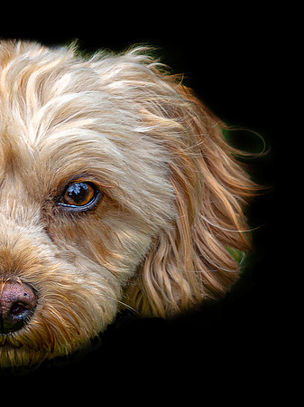 Maggie Wild Side 1
