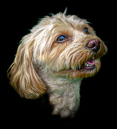 Maggie 2