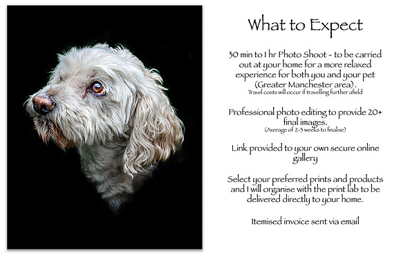 Pet Pawtrait Info