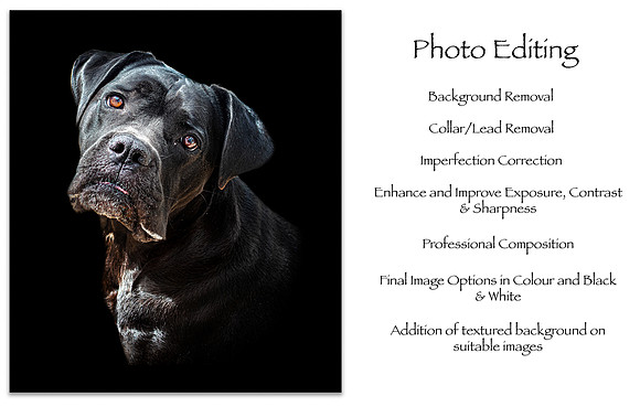 Pet Pawtrait Editing