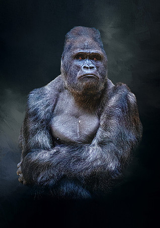 Flexing Gorilla