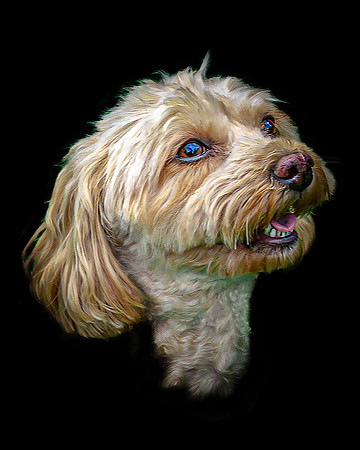Maggie 13 v2 colour 5-4
