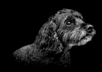 Bentley-23 B&W