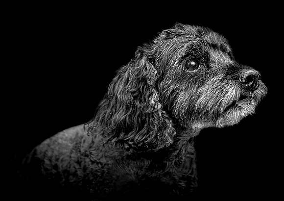 Bentley-23 B&W