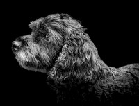Bentley-7 B&W