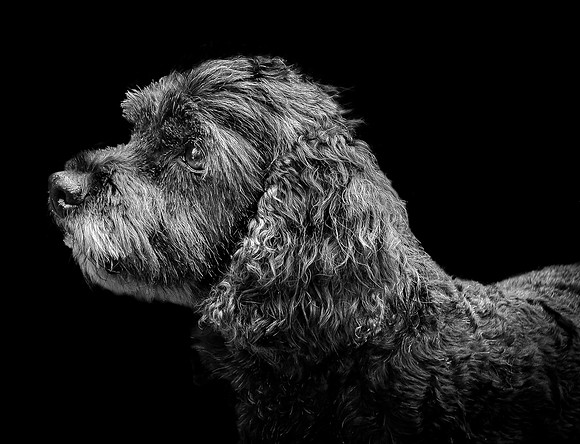 Bentley-7 B&W