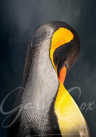 King Penguin 2 - A4/A3