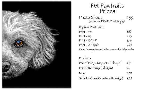 Website Price Page summer 24