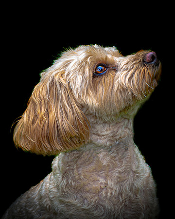Maggie 15 colour 5-4
