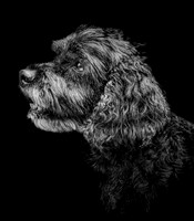 Bentley-5 B&W
